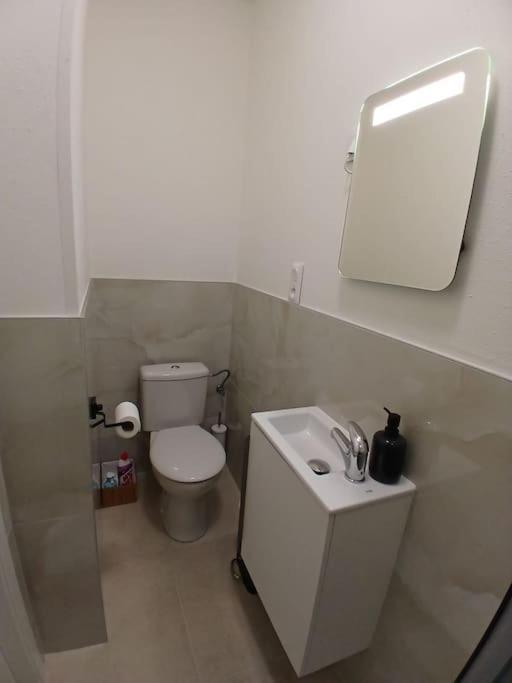 Appartement F1 Orchidee Мюлуз Екстер'єр фото